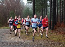 Runners competing in the 2008 TRXCL race through the Bourne Woods in Farnham
