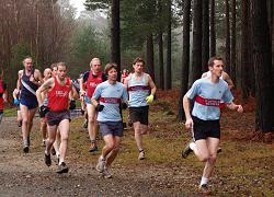 Runners competing in the 2008 TRXCL race through the Bourne Woods in Farnham