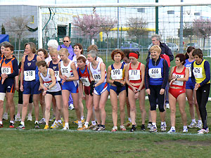 Start of the cross country at the 2008 World Masters Athletics Championships