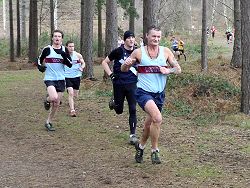 Various Farnham Runners running through woods at 2012 TRXCL race in Farnham