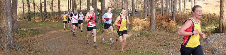 Competitors running through Bourne Woods in the 2013 SXCL race at Farnham