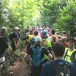 Runners queued at the start