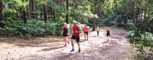 Runners hill training in Bourne Woods