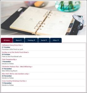 Screenshot of diary page