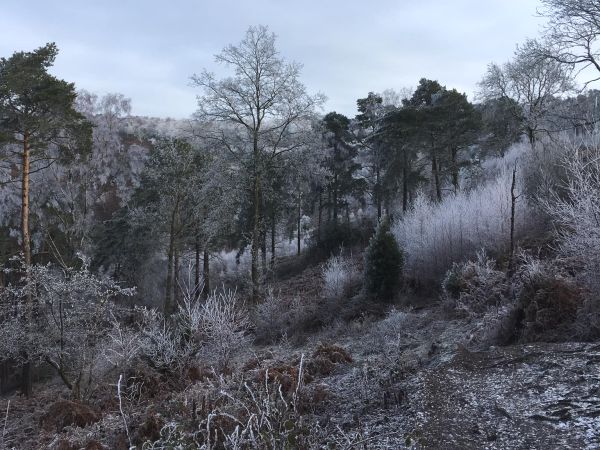 2021 Covid runs - Devils Punchbowl frosty scene